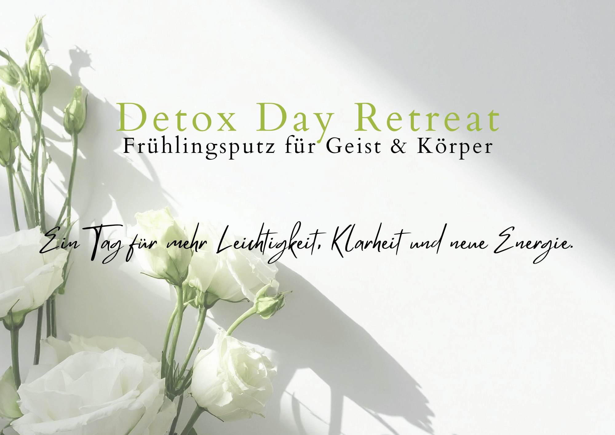 Detox Day Retreat